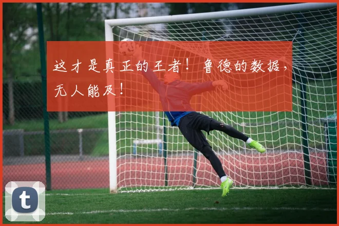 这才是真正的王者！鲁德的数据，无人能及！